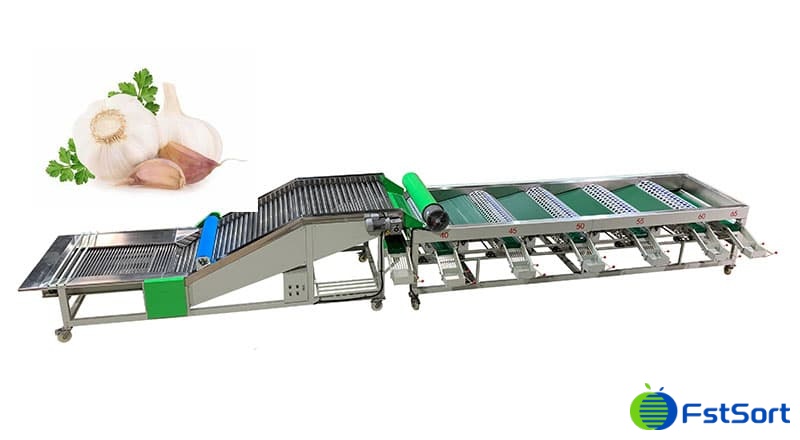 garlic sorter.jpg garlic sorter.jpg